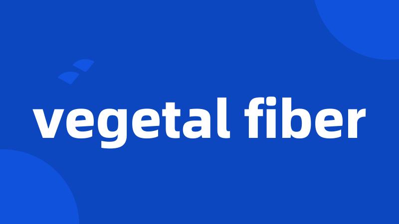 vegetal fiber