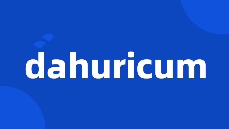 dahuricum