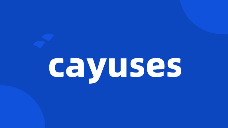 cayuses