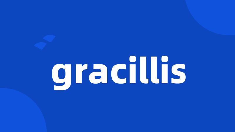 gracillis