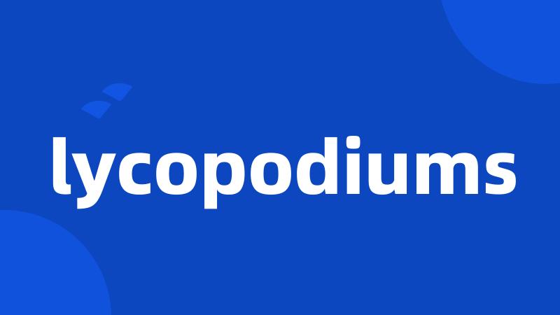 lycopodiums