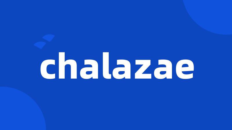 chalazae