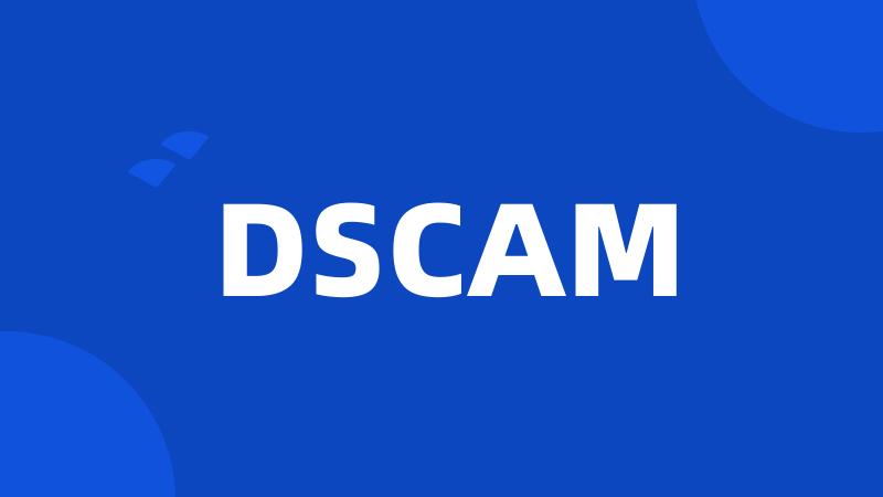 DSCAM