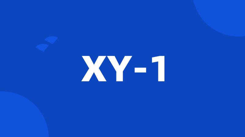 XY-1