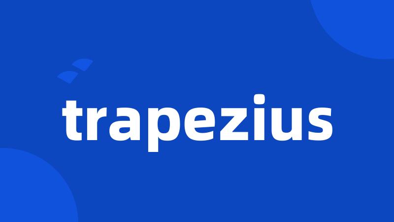 trapezius