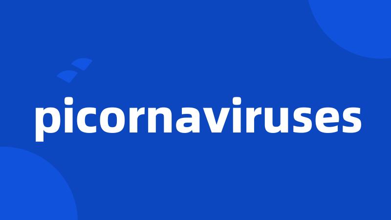 picornaviruses