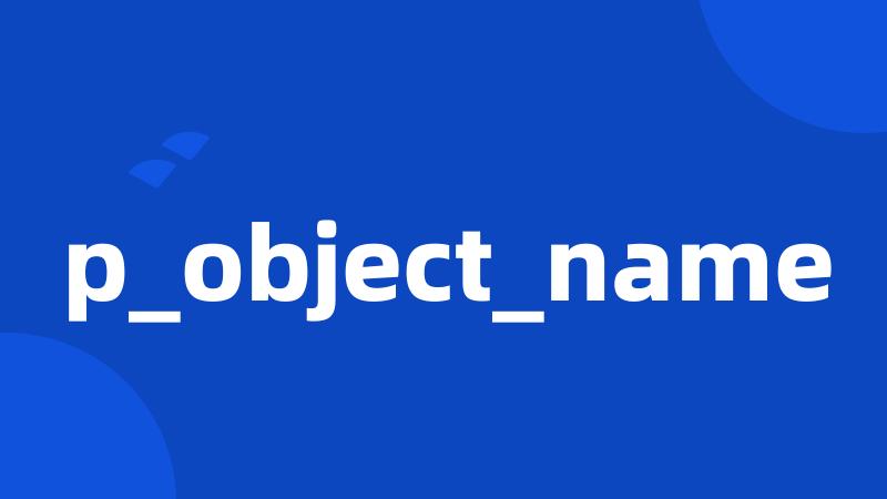 p_object_name