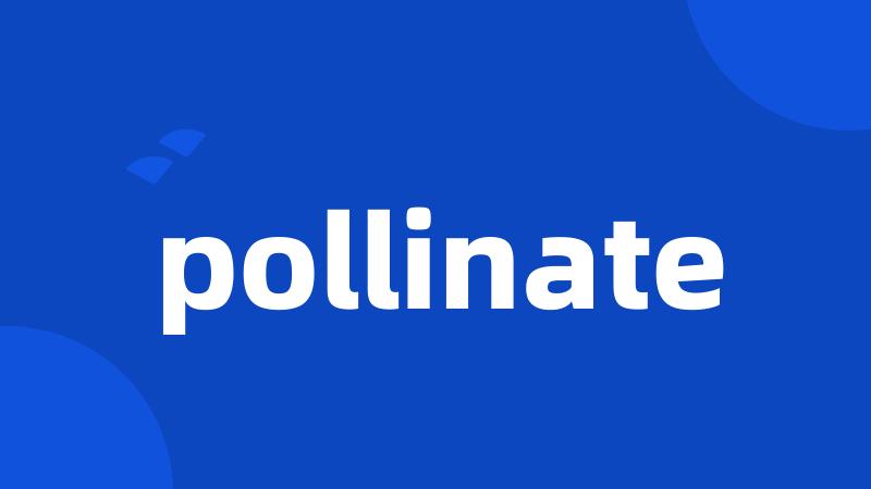 pollinate