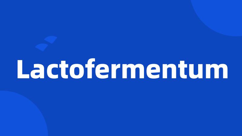 Lactofermentum