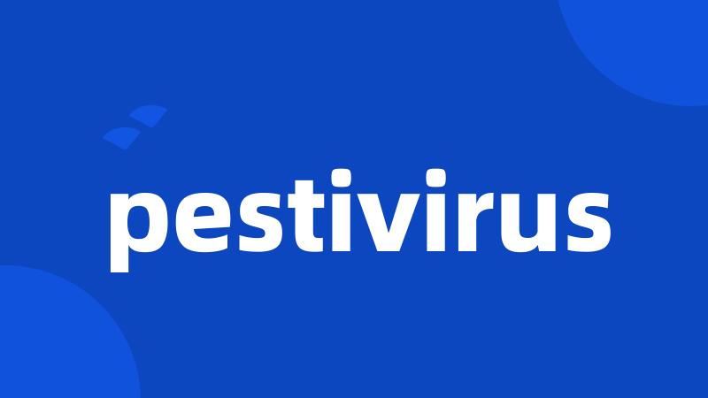 pestivirus