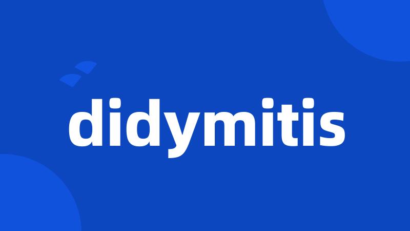 didymitis