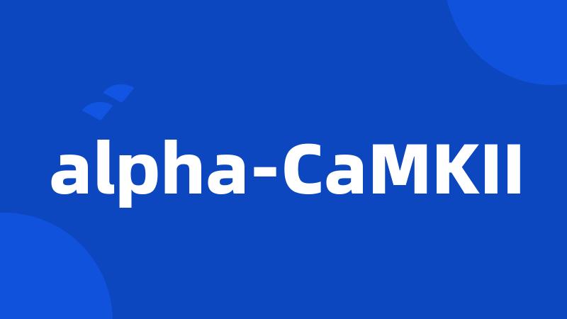 alpha-CaMKII