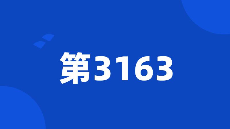 第3163