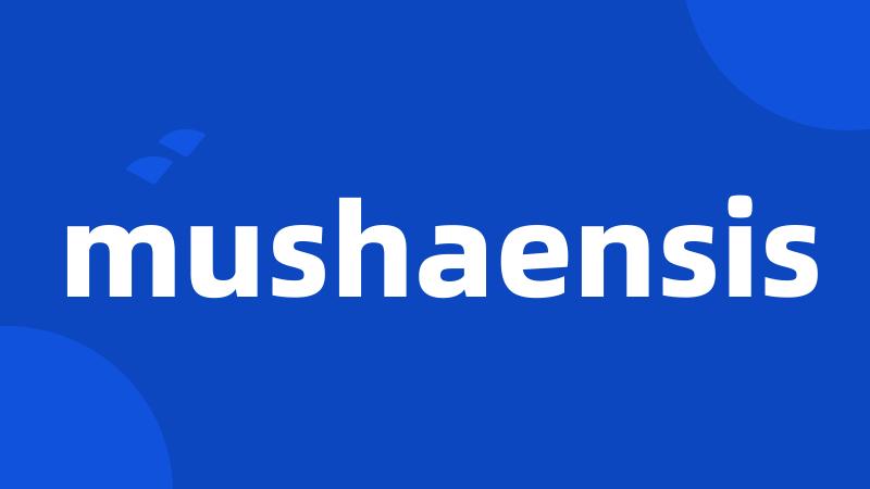 mushaensis