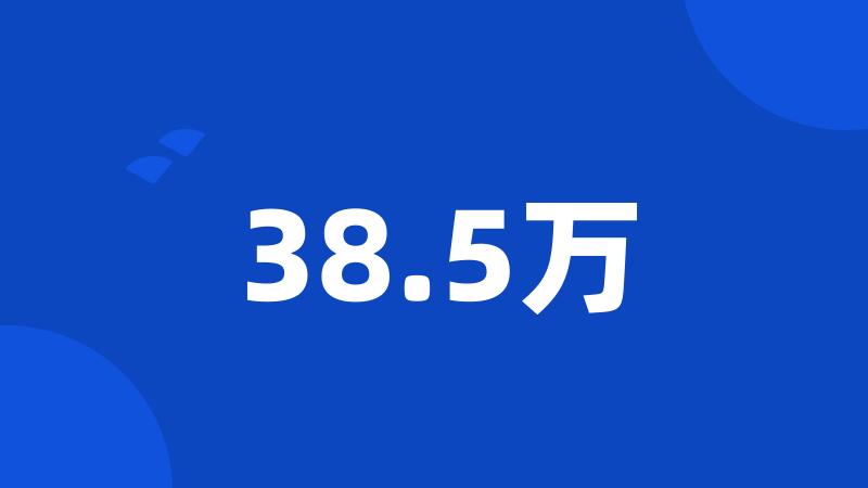 38.5万