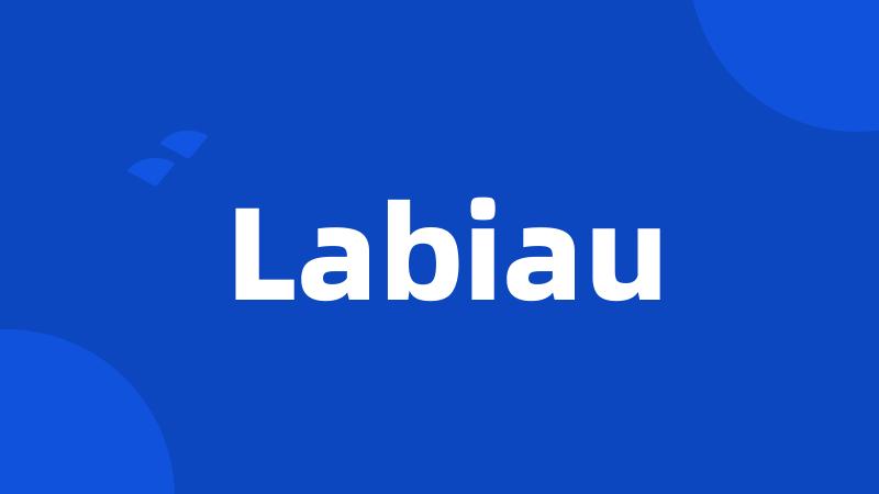 Labiau