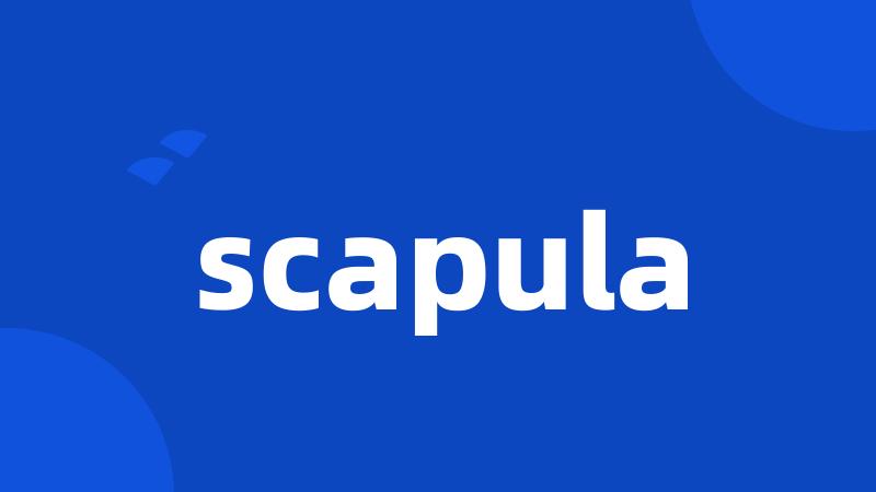 scapula