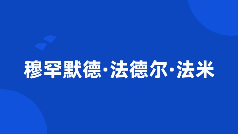 穆罕默德·法德尔·法米