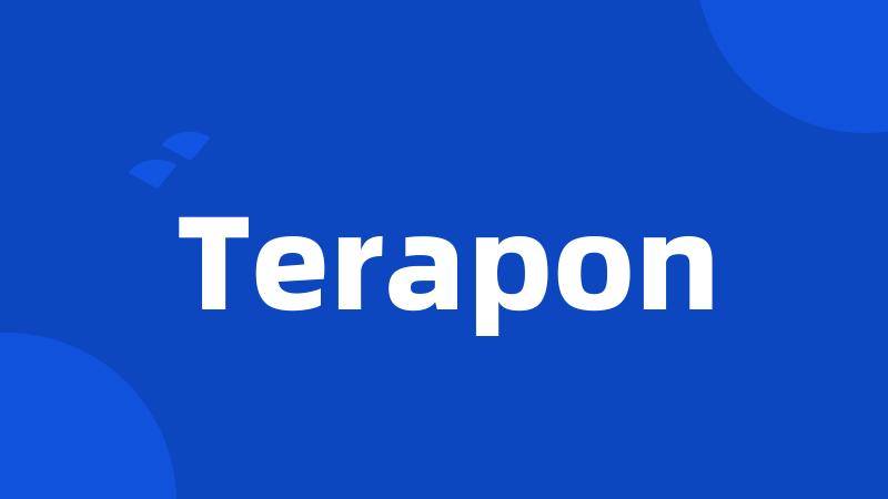 Terapon