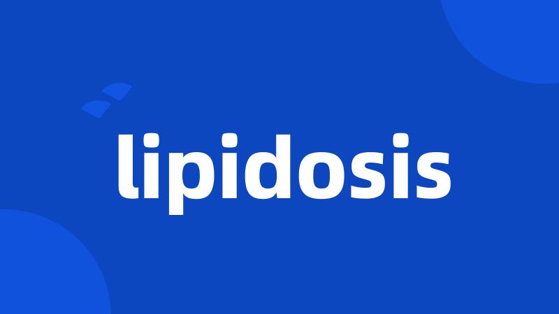 lipidosis