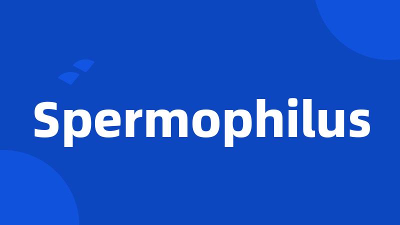 Spermophilus