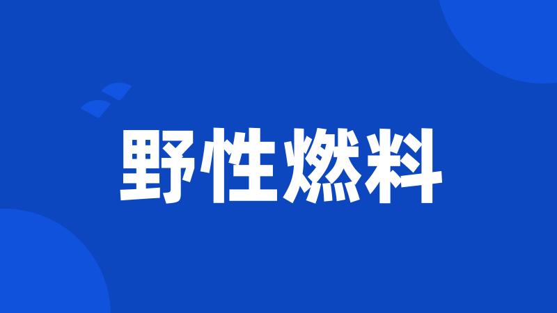 野性燃料