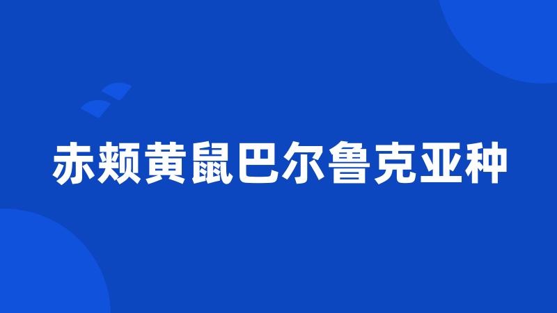 赤颊黄鼠巴尔鲁克亚种