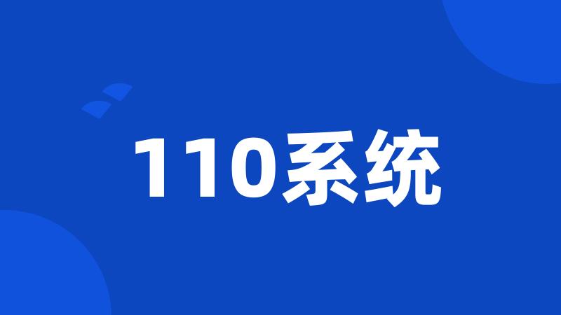 110系统