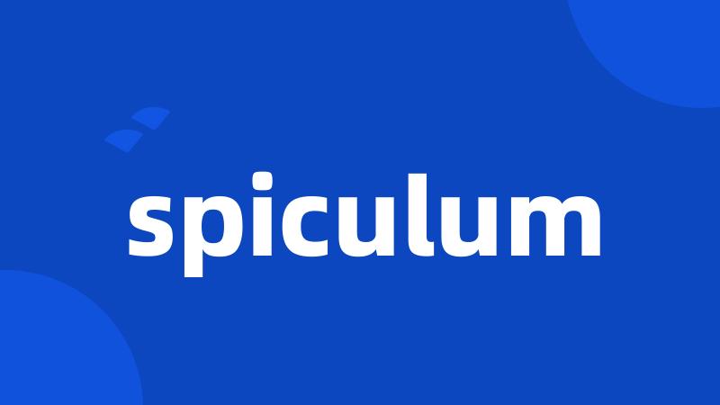 spiculum