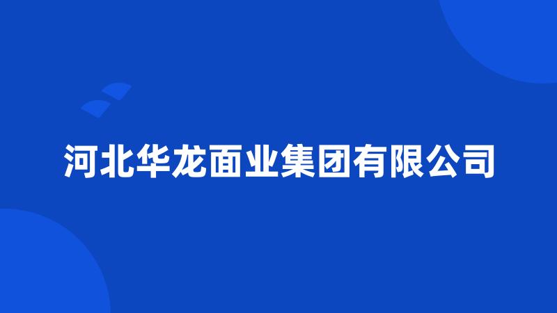 河北华龙面业集团有限公司