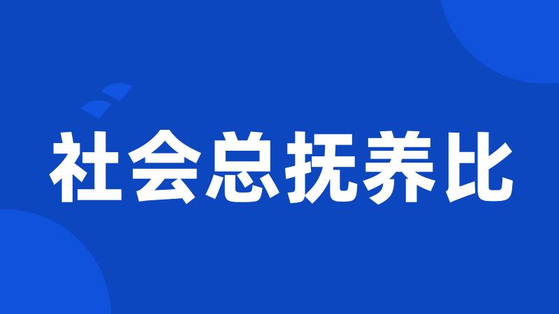 社会总抚养比