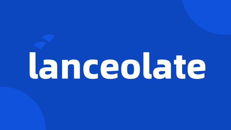 lanceolate