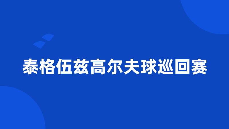 泰格伍兹高尔夫球巡回赛