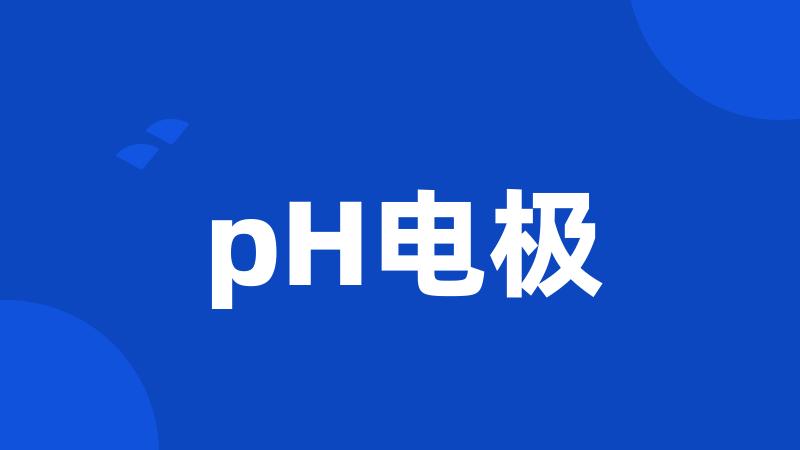 pH电极