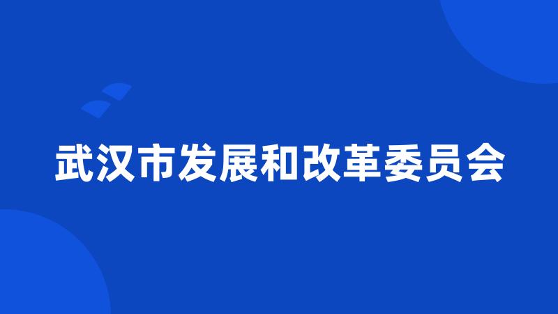 武汉市发展和改革委员会