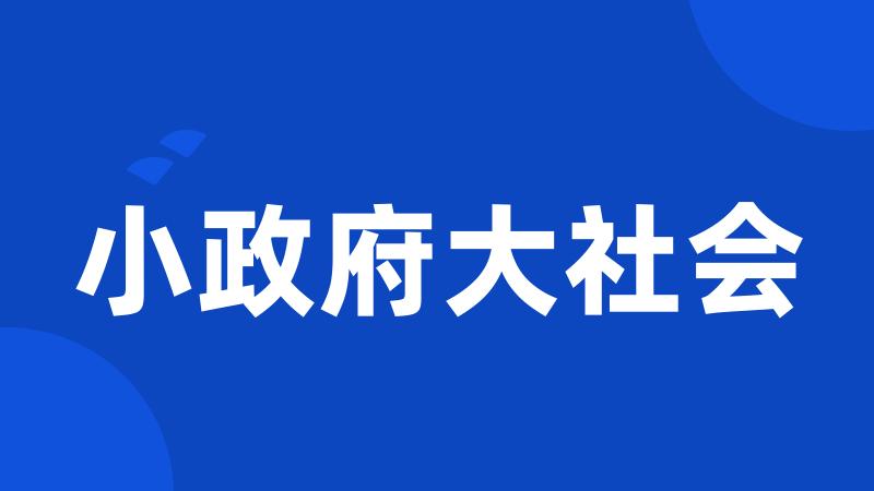 小政府大社会