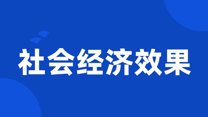 社会经济效果