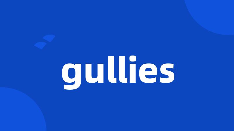 gullies