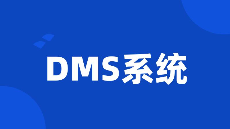 DMS系统