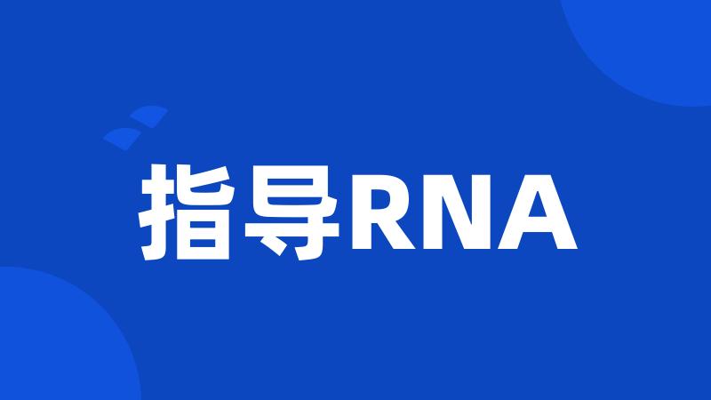 指导RNA