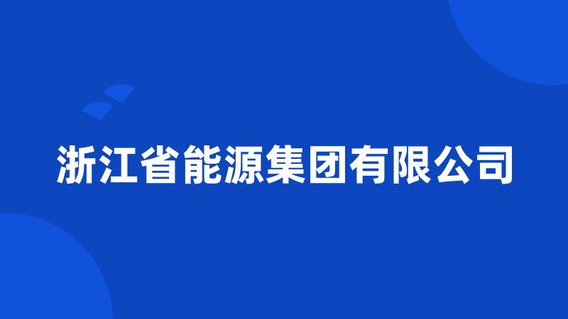 浙江省能源集团有限公司