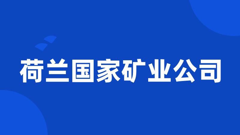 荷兰国家矿业公司