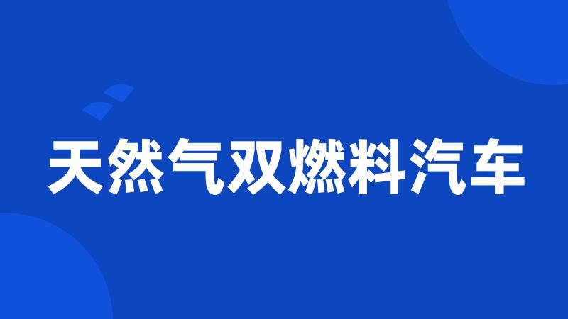 天然气双燃料汽车