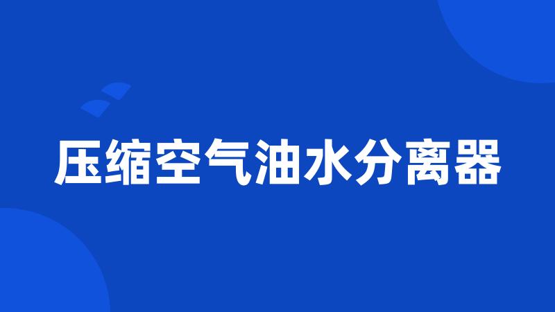 压缩空气油水分离器