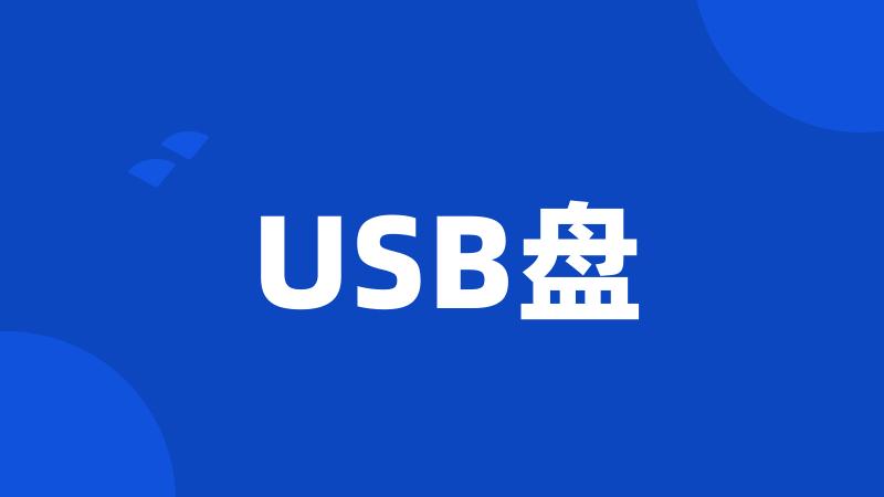 USB盘