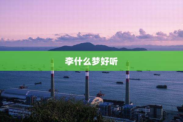 李什么梦好听
