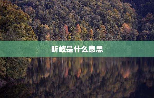 昕岐是什么意思