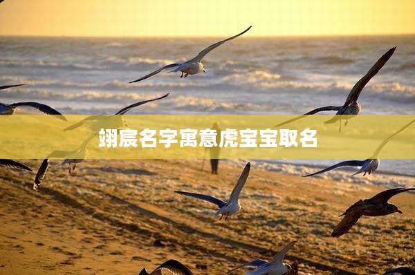 翊宸名字寓意虎宝宝取名