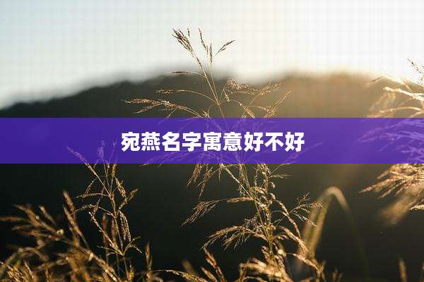 宛燕名字寓意好不好