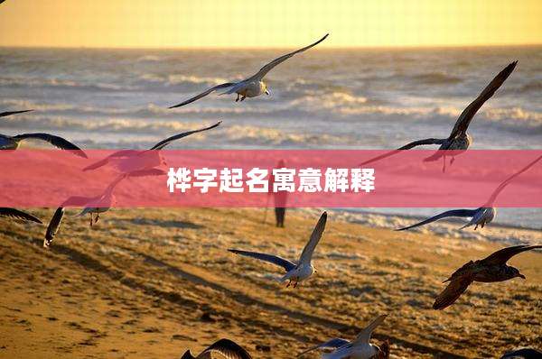 桦字起名寓意解释